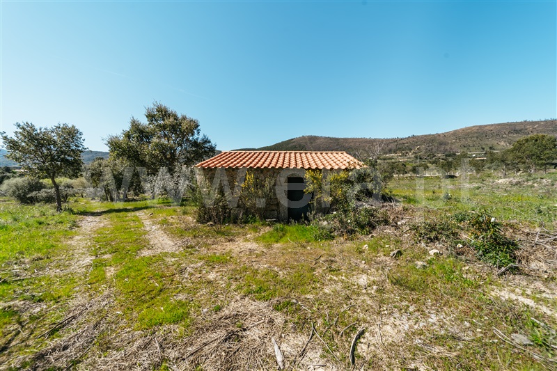 Quinta  Fundão, Monte Leal - 1458036 - 24