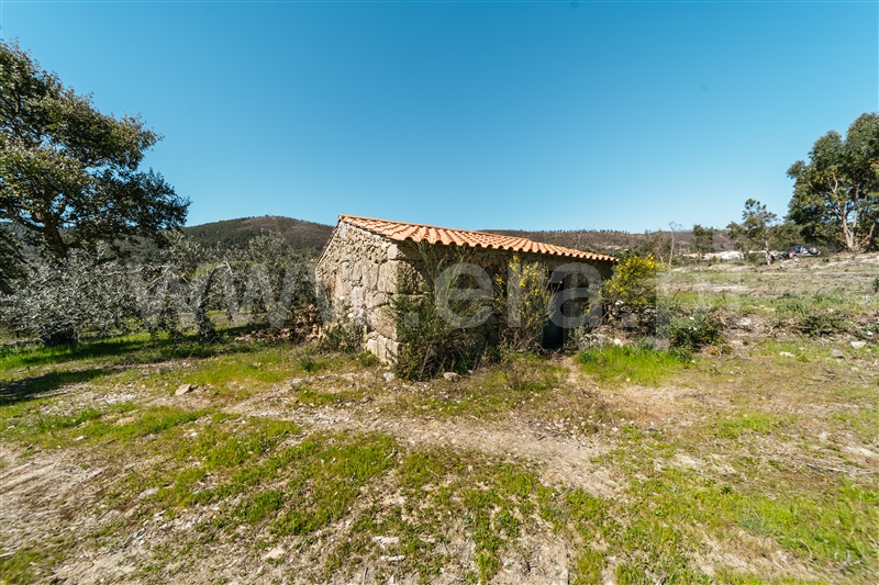 Quinta  Fundão, Monte Leal - 1458036 - 25