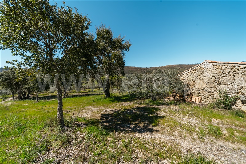 Quinta  Fundão, Monte Leal - 1458036 - 26