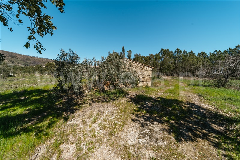 Quinta  Fundão, Monte Leal - 1458036 - 28