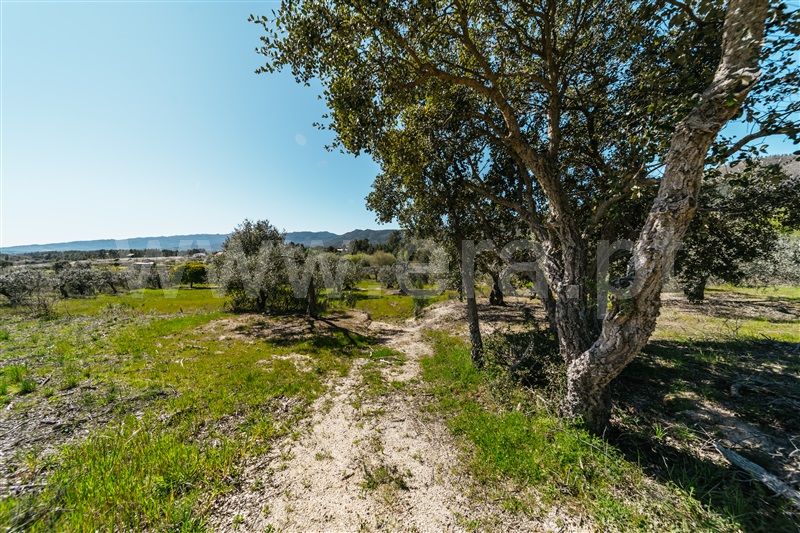 Quinta  Fundão, Monte Leal - 1458036 - 29