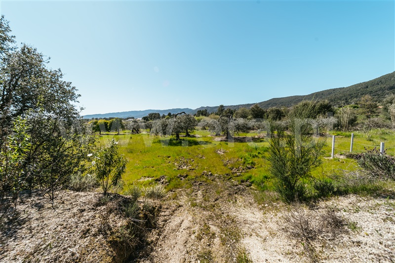 Quinta  Fundão, Monte Leal - 1458036 - 30