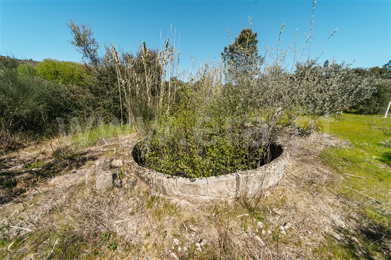 Quinta  Fundão, Monte Leal - 1458036 - 34