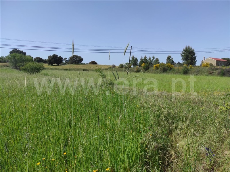 Quinta  Fundão, Orca - 1246045 - 9