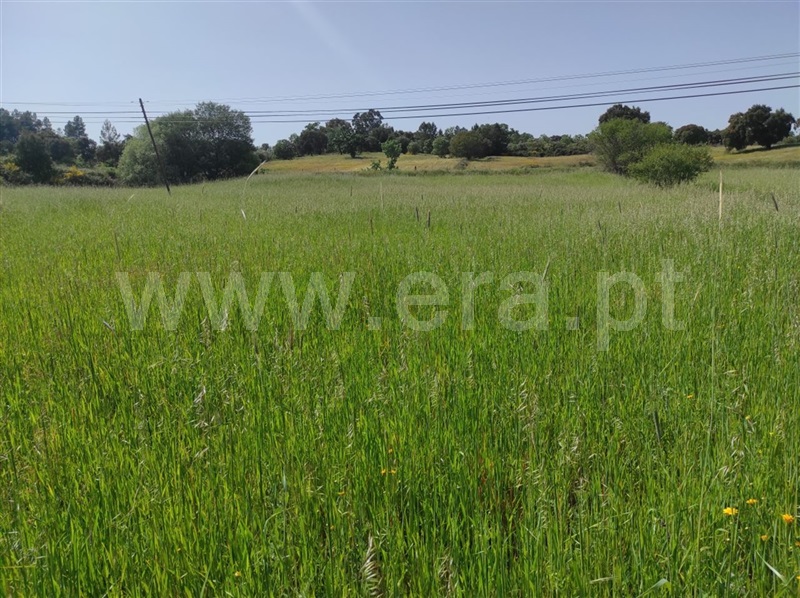 Quinta  Fundão, Orca - 1246045 - 10
