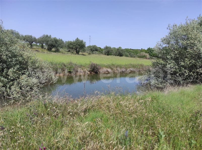 Quinta  Fundão, Orca - 1246045 - 11