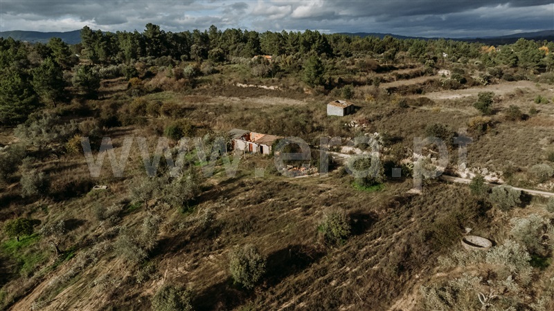 Quinta / Fundão, Orca