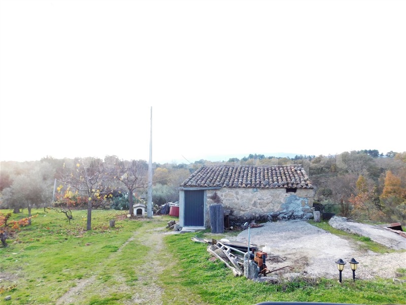 Quinta / Fundão, Orca