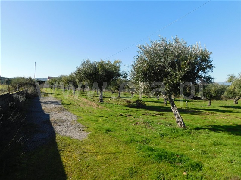 Quinta / Fundão, Orca