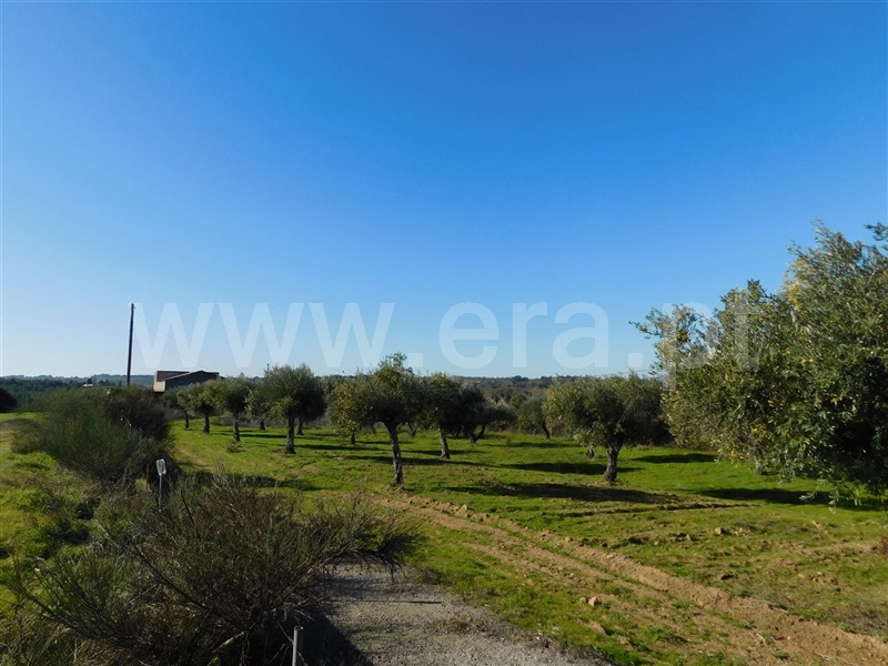 Quinta  Fundão, Orca - 972538 - 3