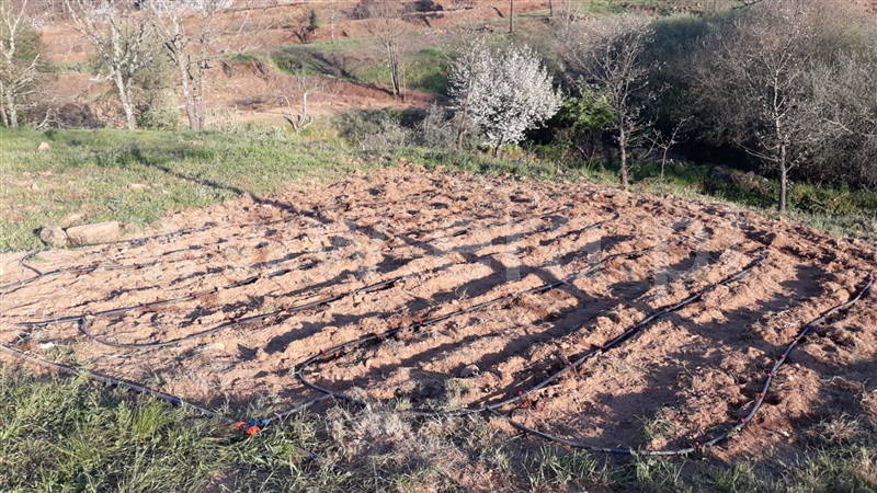 Quinta  Fundão, Pêro Viseu - 1253445 - 2
