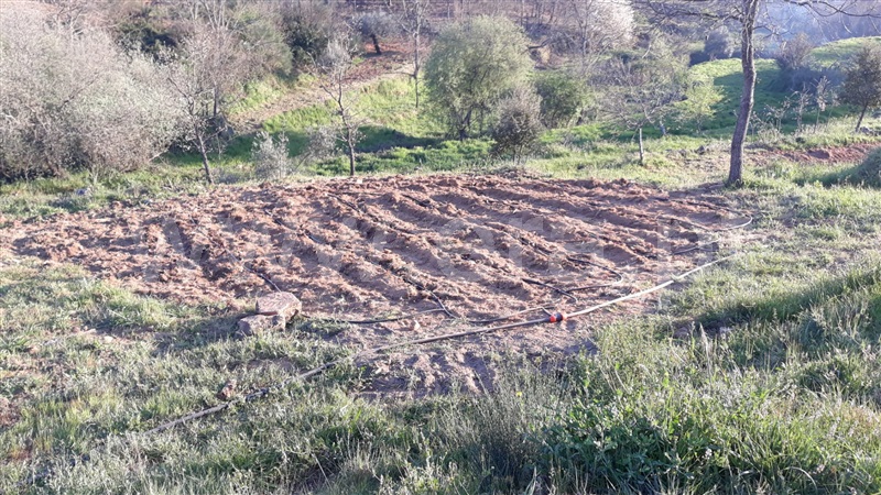 Quinta  Fundão, Pêro Viseu - 1253445 - 3