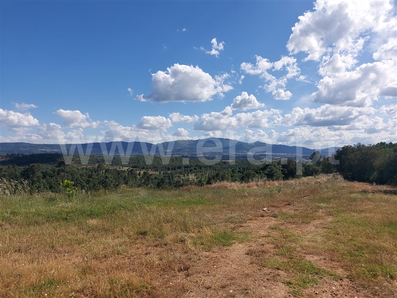 Quinta  Fundão, Pêro Viseu - 1253445 - 6