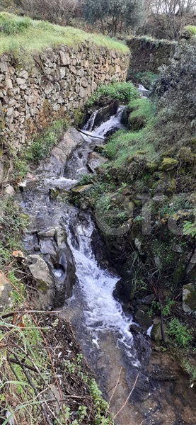 Quinta  Fundão, Pêro Viseu - 1253445 - 12