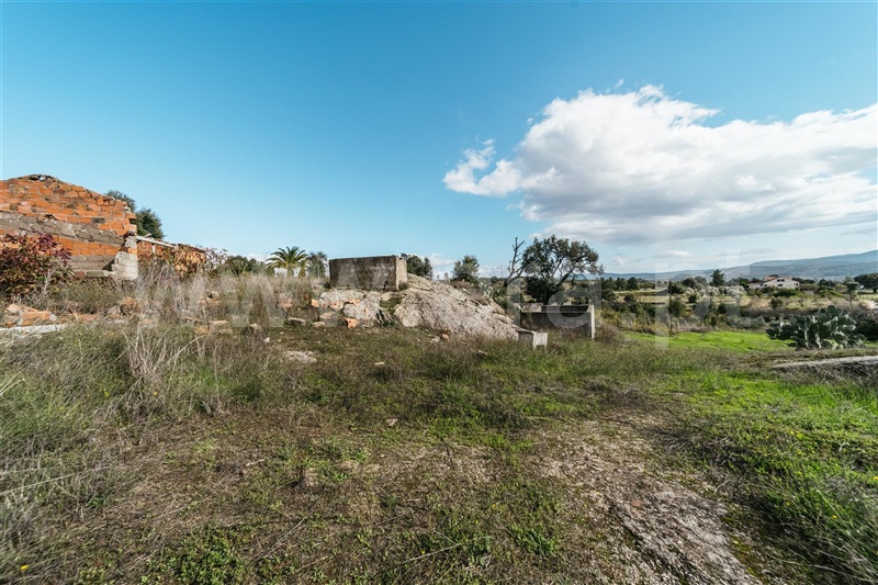 Quinta  Fundão, Pêro Viseu - 1291737 - 2