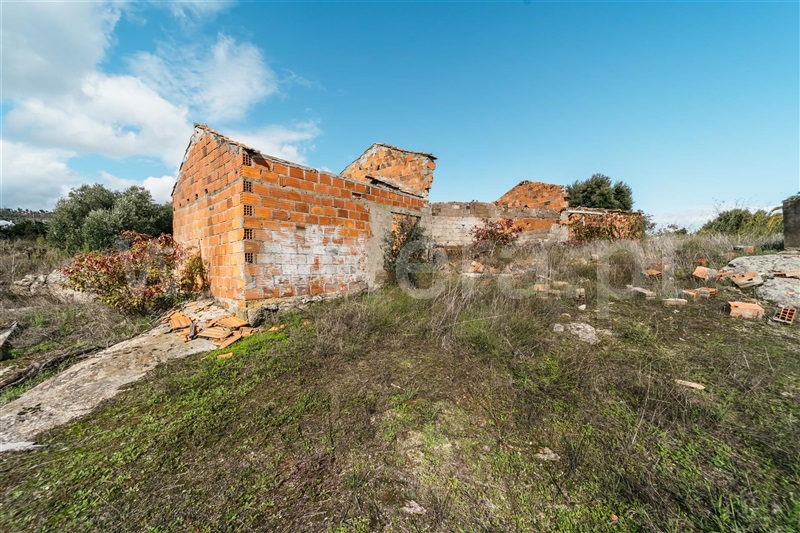 Quinta  Fundão, Pêro Viseu - 1291737 - 3