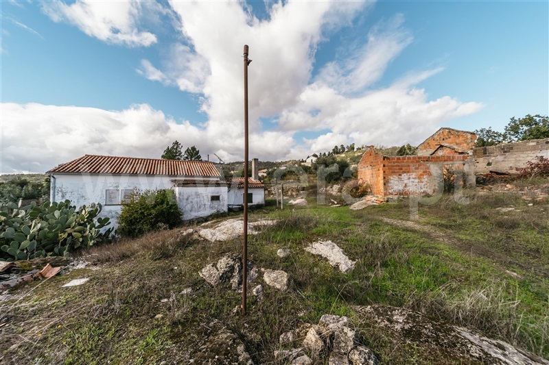 Quinta  Fundão, Pêro Viseu - 1291737 - 4