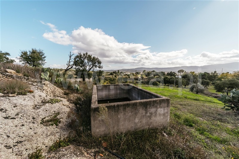Quinta  Fundão, Pêro Viseu - 1291737 - 5