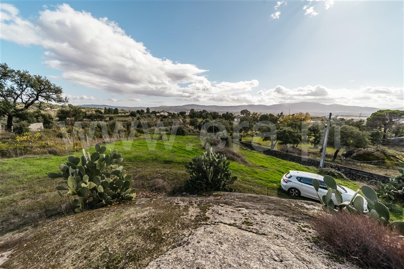 Quinta  Fundão, Pêro Viseu - 1291737 - 6