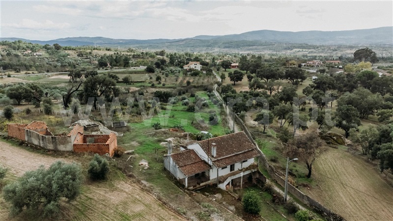 Quinta / Fundão, Pêro Viseu