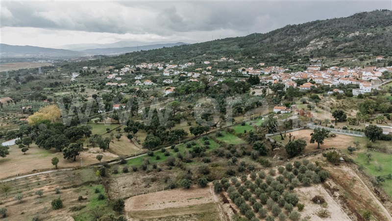 Quinta  Fundão, Pêro Viseu - 1291737 - 11