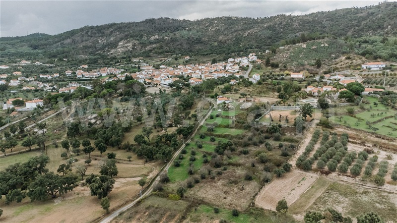 Quinta  Fundão, Pêro Viseu - 1291737 - 12
