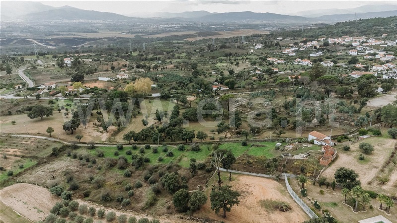 Quinta  Fundão, Pêro Viseu - 1291737 - 13