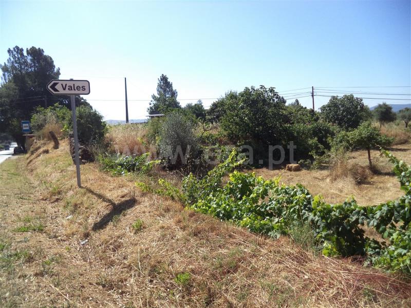 Quinta  Fundão, Pêro Viseu - 749564 - 3