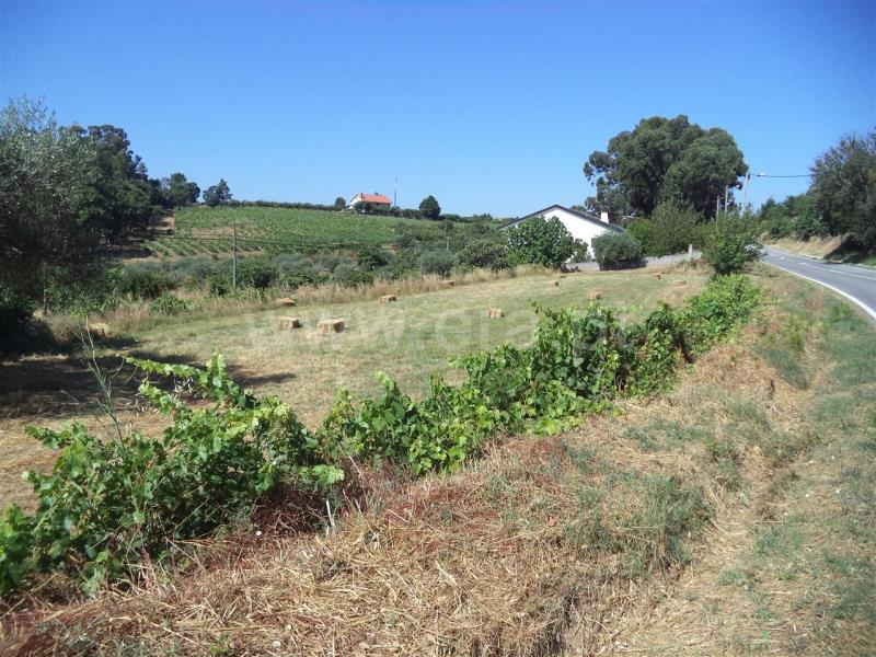 Quinta  Fundão, Pêro Viseu - 749564 - 2