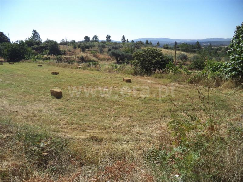 Quinta  Fundão, Pêro Viseu - 749564 - 4
