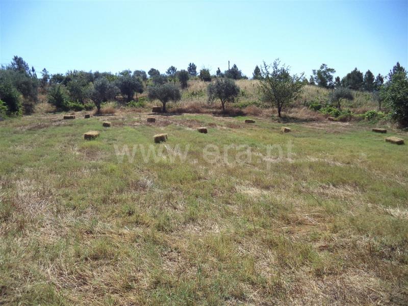 Quinta  Fundão, Pêro Viseu - 749564 - 5