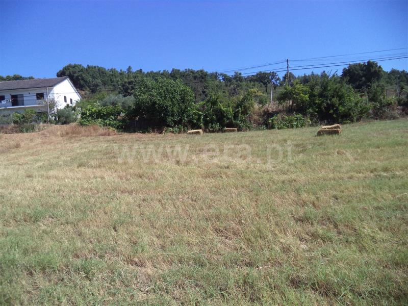 Quinta  Fundão, Pêro Viseu - 749564 - 6