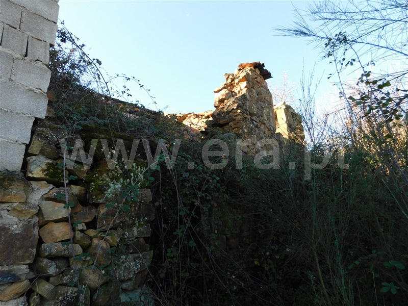 Quinta  Fundão, Pesinho - 1375194 - 6