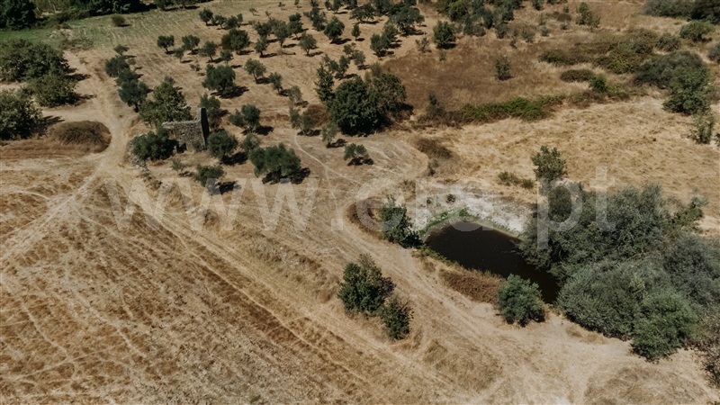 Quinta  Fundão, Póvoa da Atalaia - 1431925 - 1