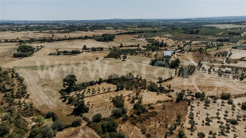 Quinta  Fundão, Póvoa da Atalaia - 1431925 - 7