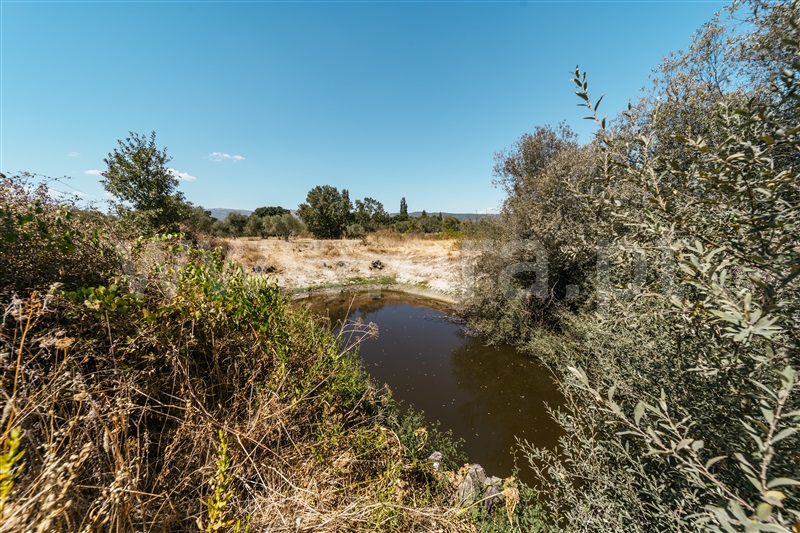 Quinta  Fundão, Póvoa da Atalaia - 1431925 - 8