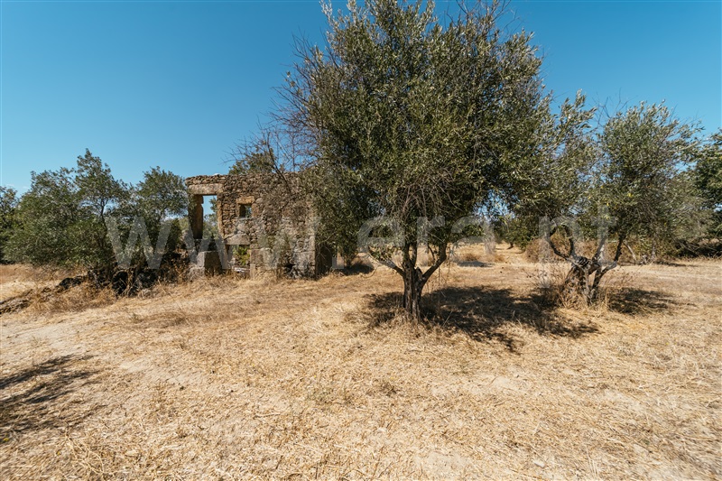 Quinta / Fundão, Póvoa da Atalaia