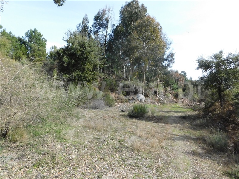 Quinta  Fundão, Póvoa da Palhaça - 888935 - 17