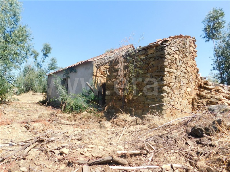 Quinta  Fundão, Quintas da Torre - 1025512 - 2