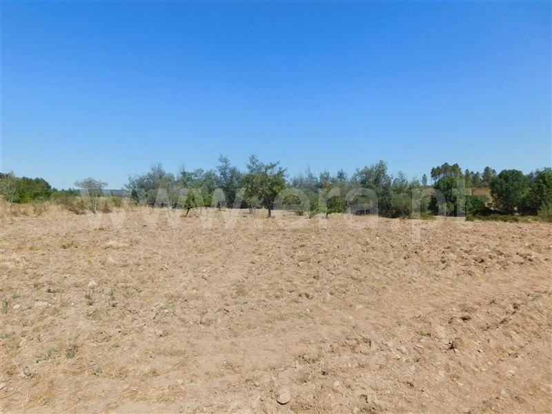 Quinta  Fundão, Quintas da Torre - 1025512 - 3