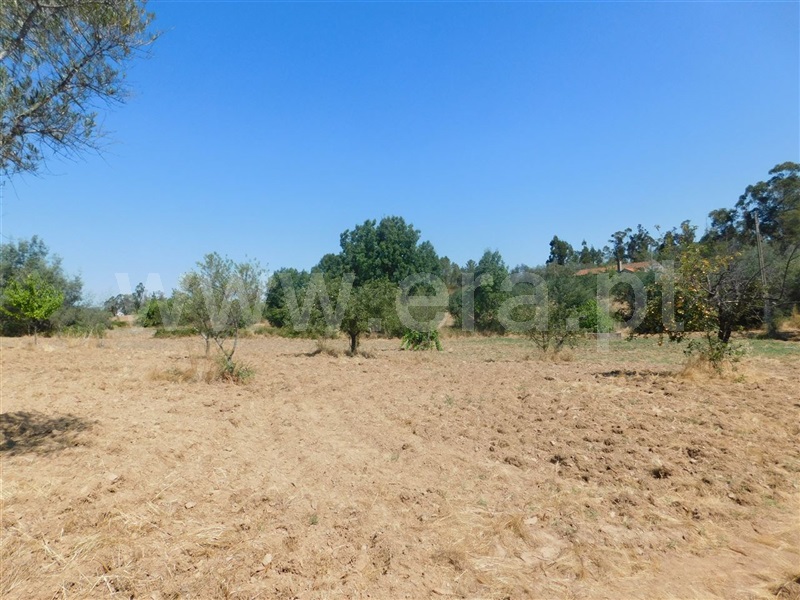 Quinta  Fundão, Quintas da Torre - 1025512 - 5