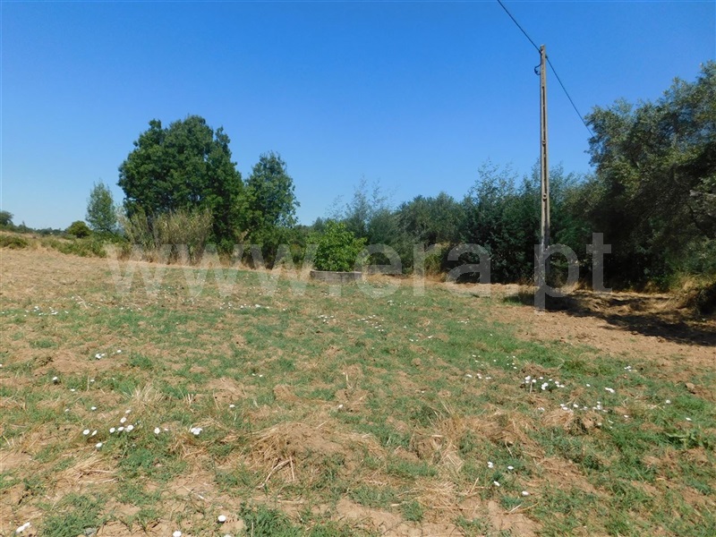 Quinta  Fundão, Quintas da Torre - 1025512 - 6