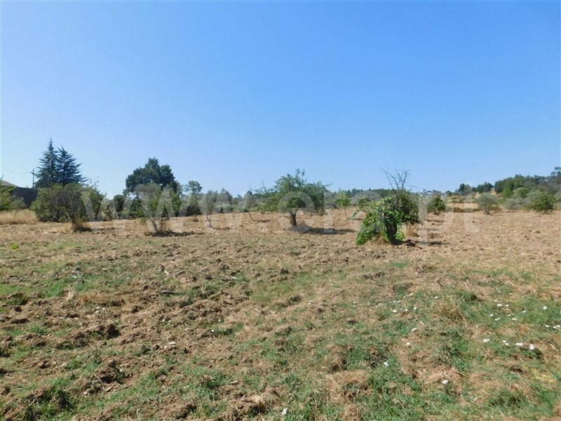 Quinta  Fundão, Quintas da Torre - 1025512 - 7