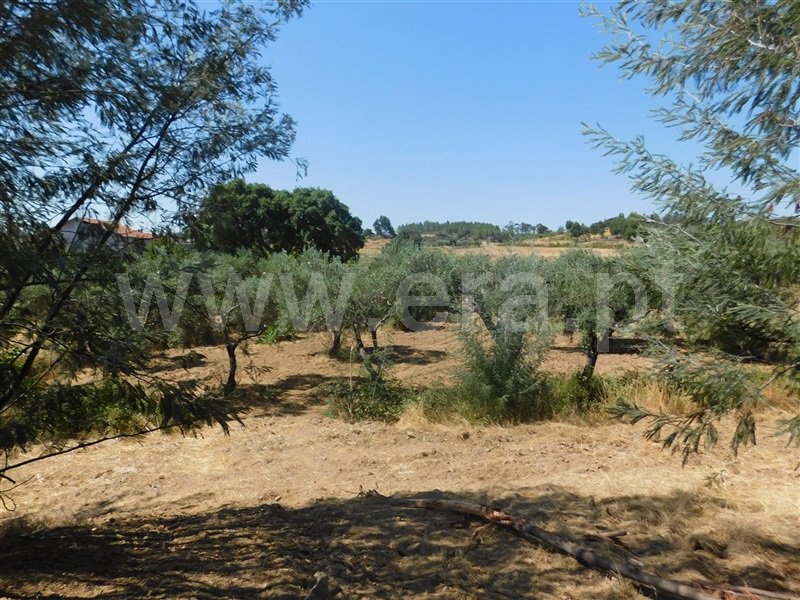 Quinta / Fundão, Quintas da Torre