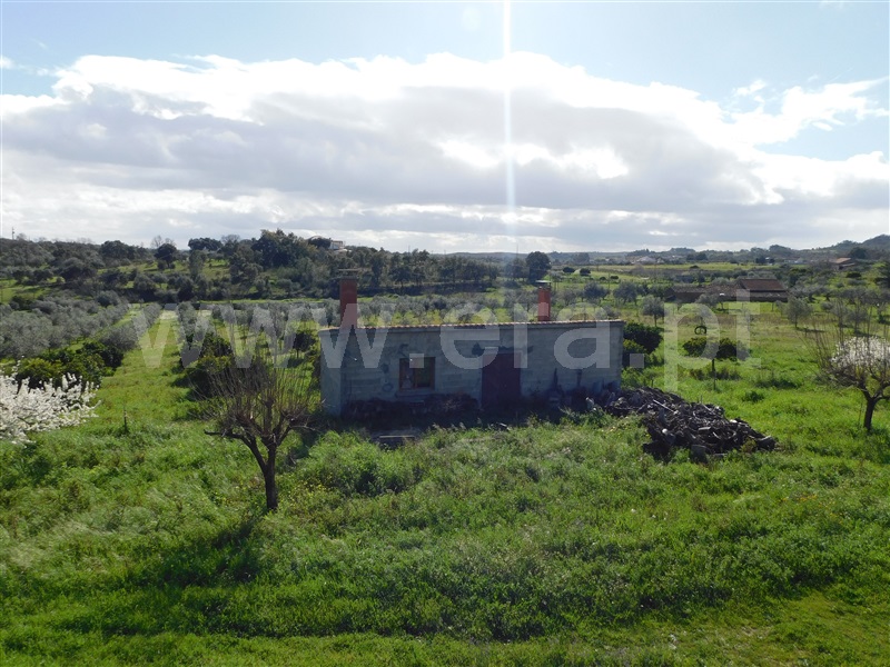 Quinta / Fundão, Quintas da Torre