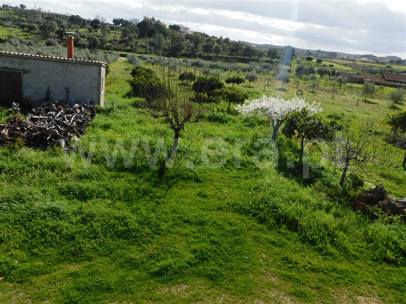 Quinta  Fundão, Quintas da Torre - 1395002 - 2