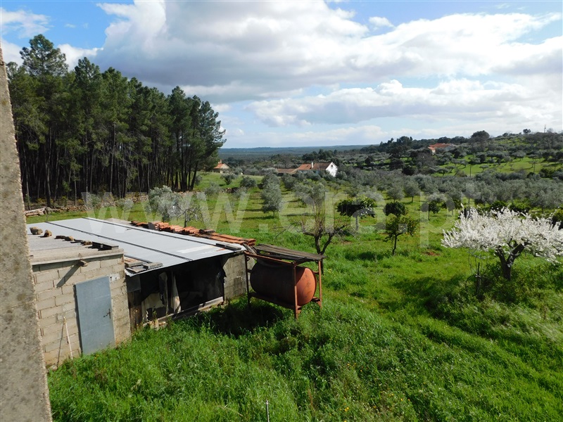 Quinta  Fundão, Quintas da Torre - 1395002 - 3