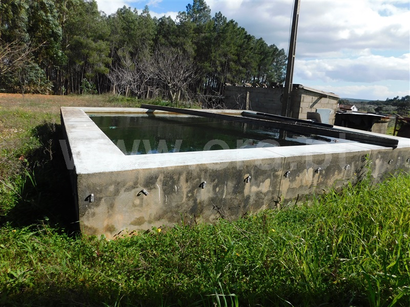 Quinta  Fundão, Quintas da Torre - 1395002 - 4