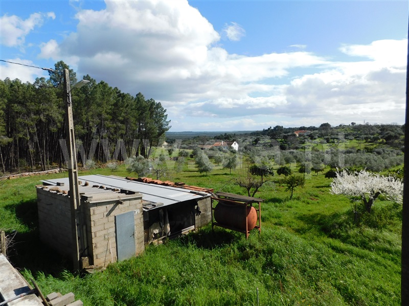Quinta  Fundão, Quintas da Torre - 1395002 - 5