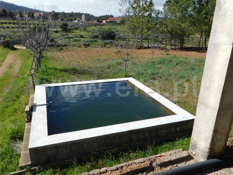 Quinta  Fundão, Quintas da Torre - 1395002 - 6